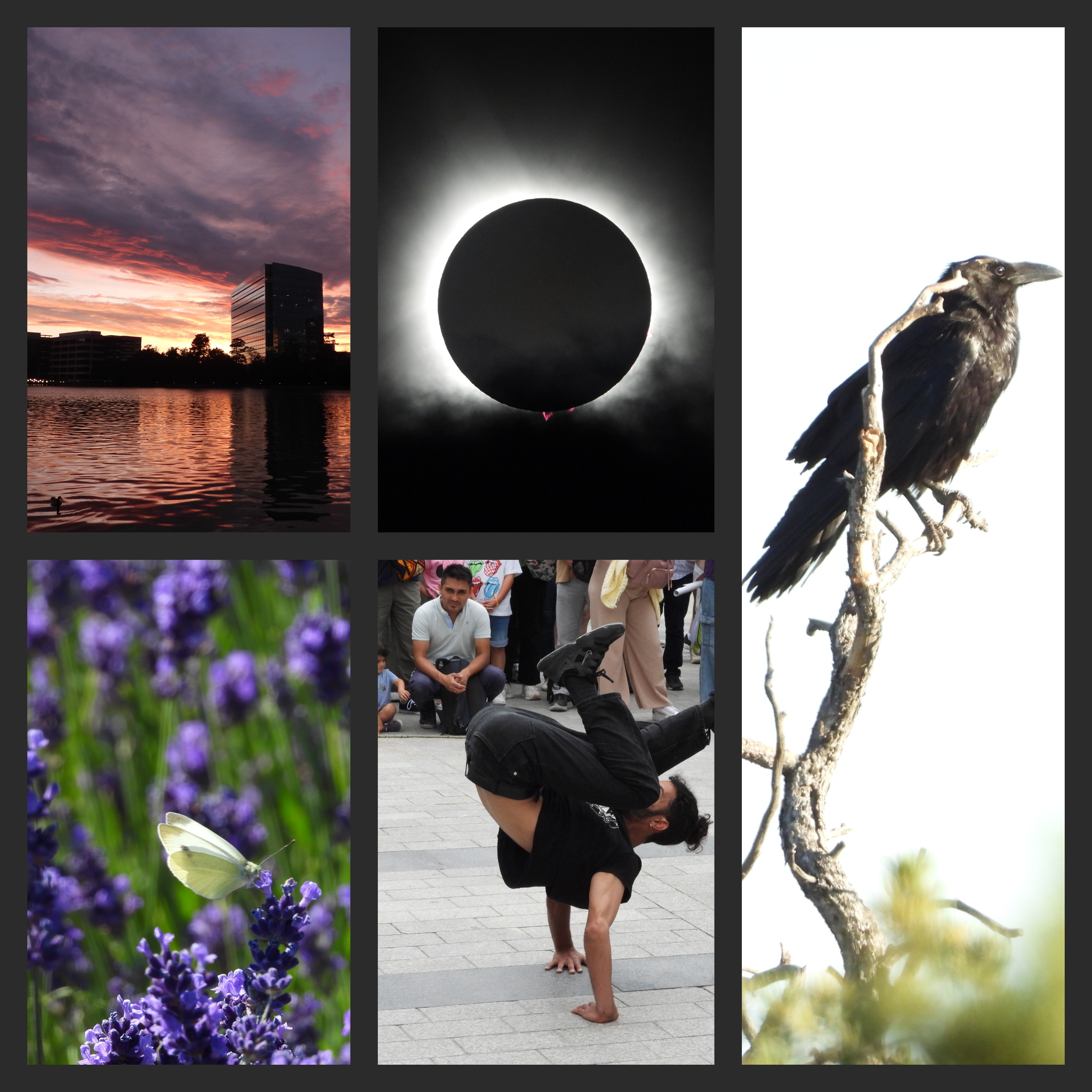 photo highlights